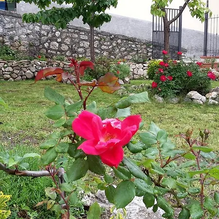 فندق مبيت وإفطار Il Giardino 3*