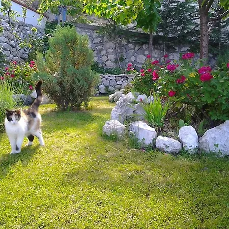 فندق مبيت وإفطار Il Giardino 3*