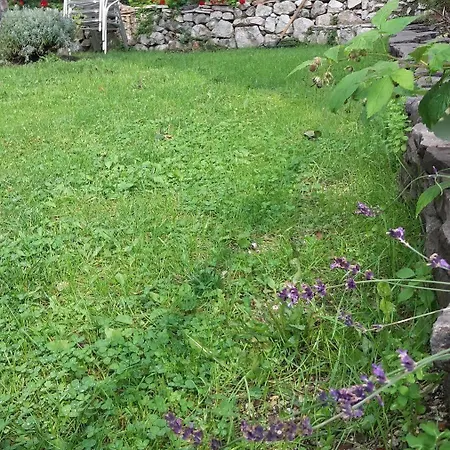 فندق مبيت وإفطار Il Giardino