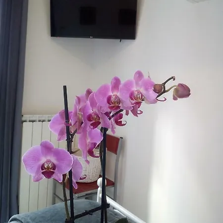 Bed & Breakfast Il Giardino B&B