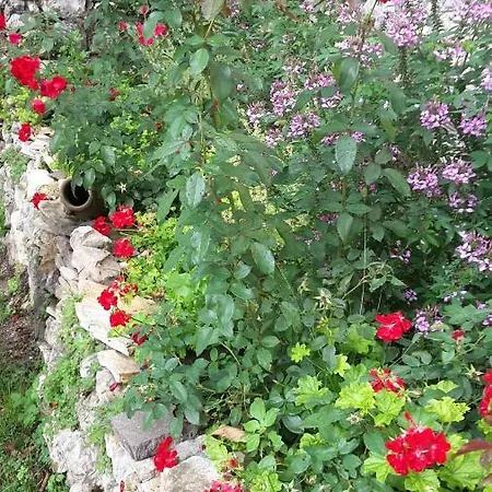Il Giardino فندق مبيت وإفطار Pacentro